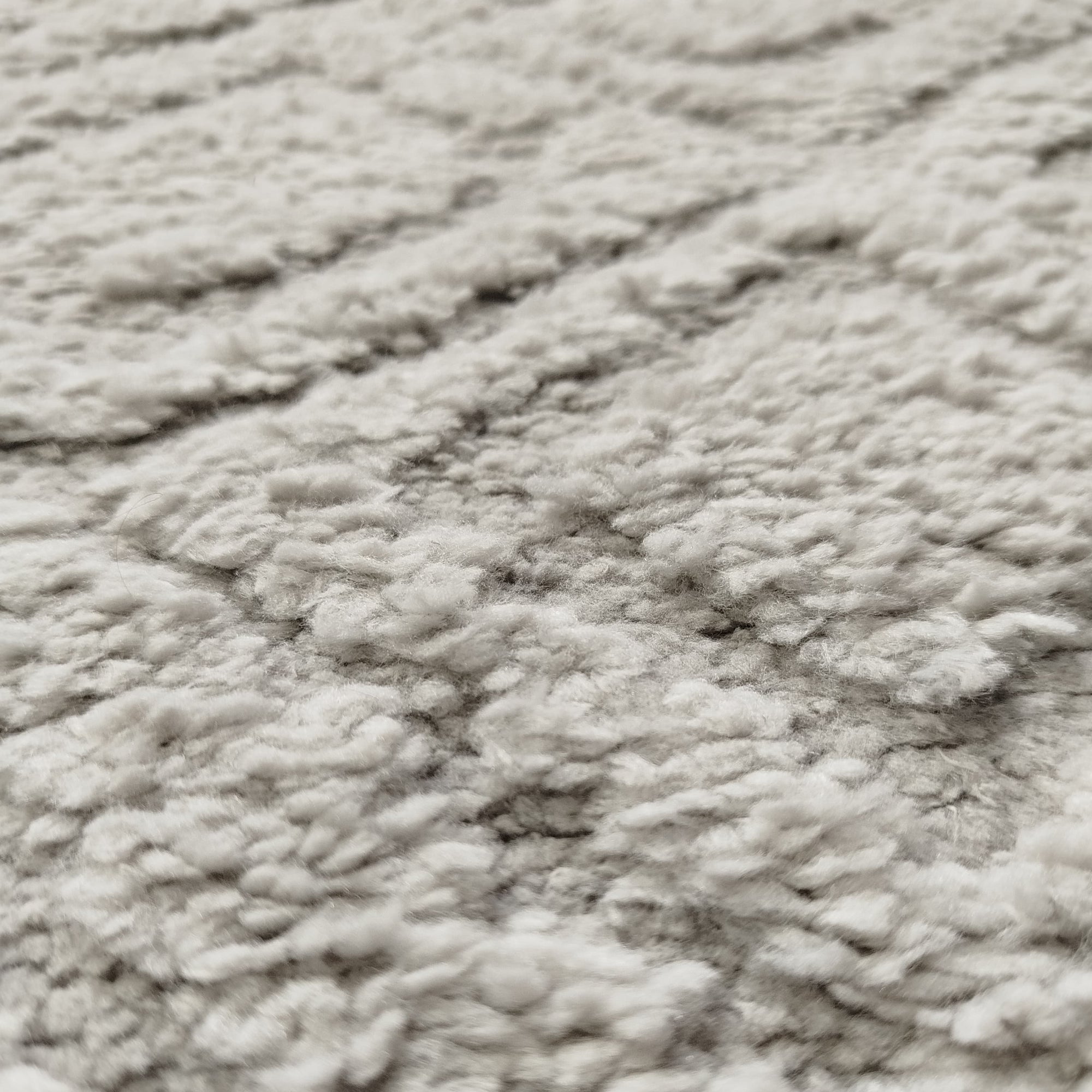 Alfombra Monaco Shaggy 200x300 Cm 100