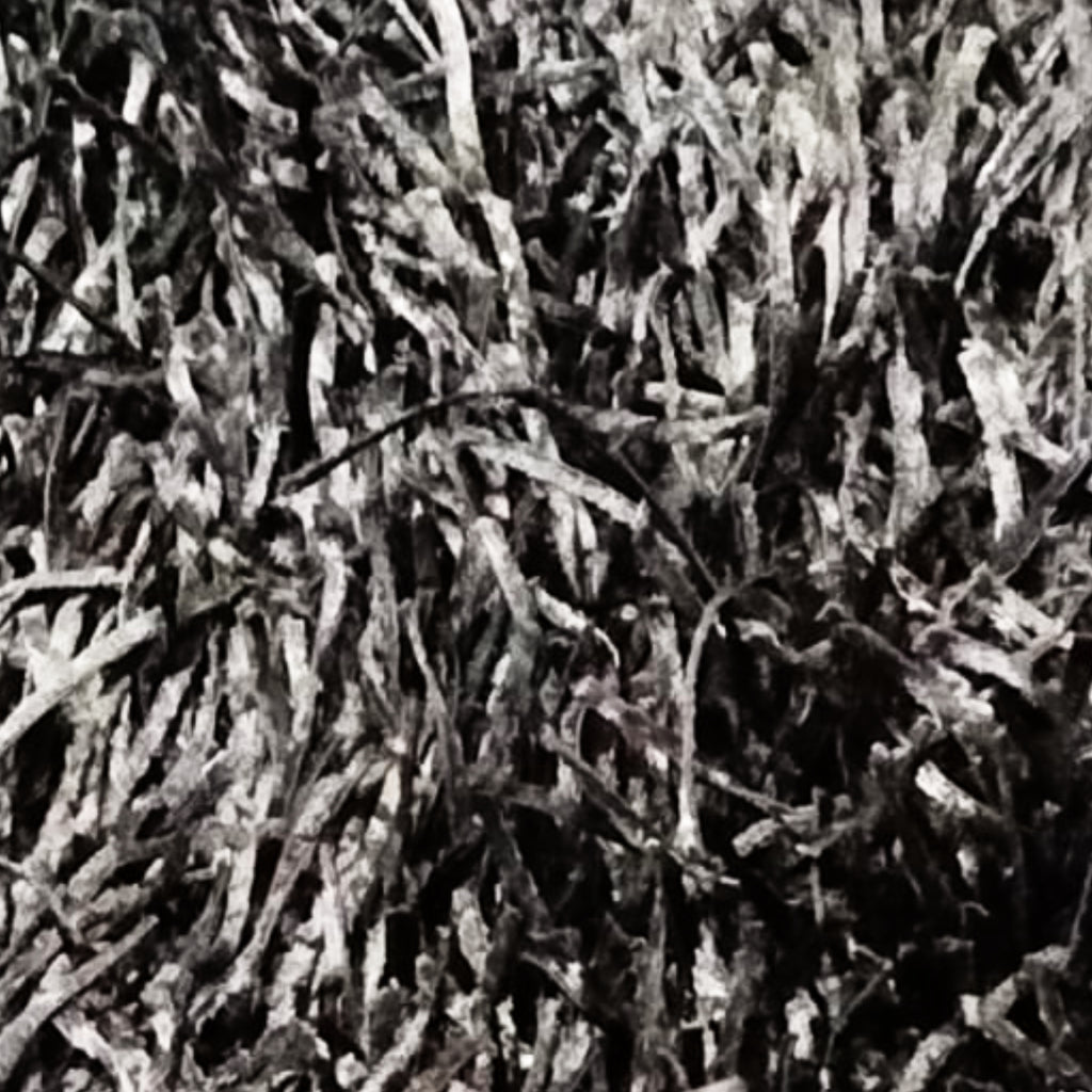 Alfombra Dallas 140x200 Cm Negro