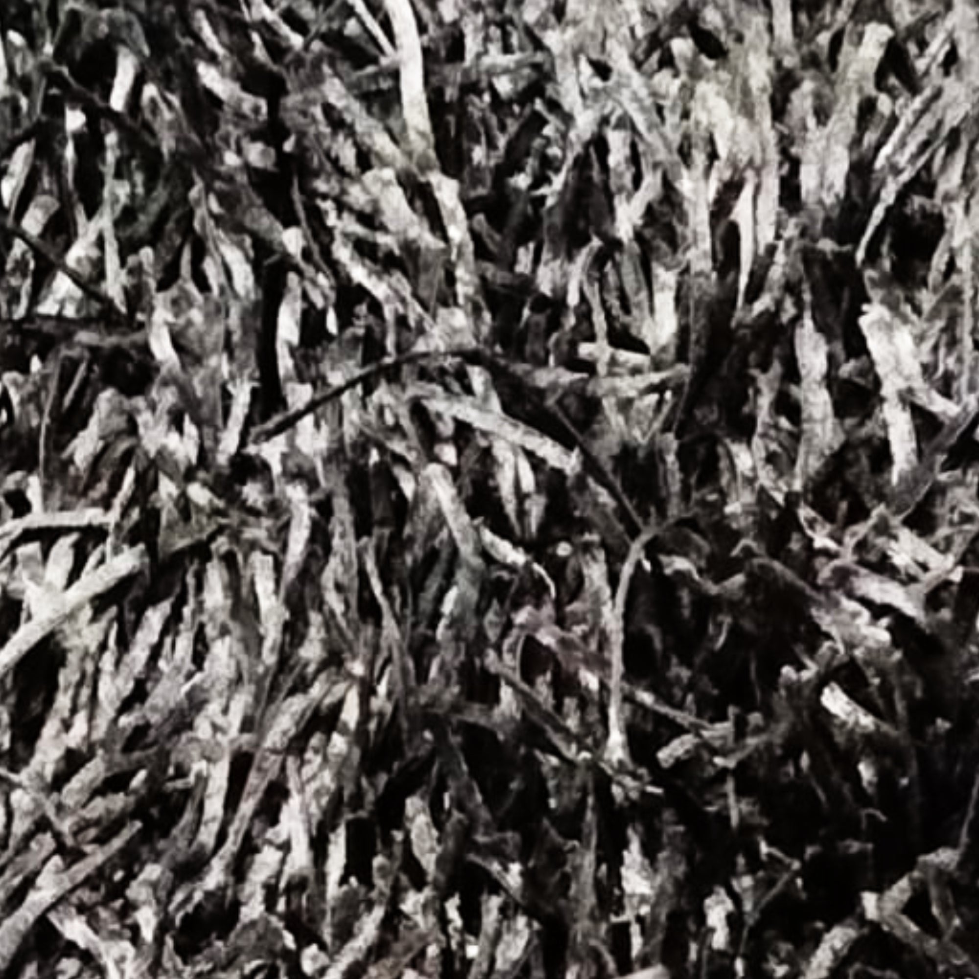 Alfombra Dallas 140x200 Cm Negro