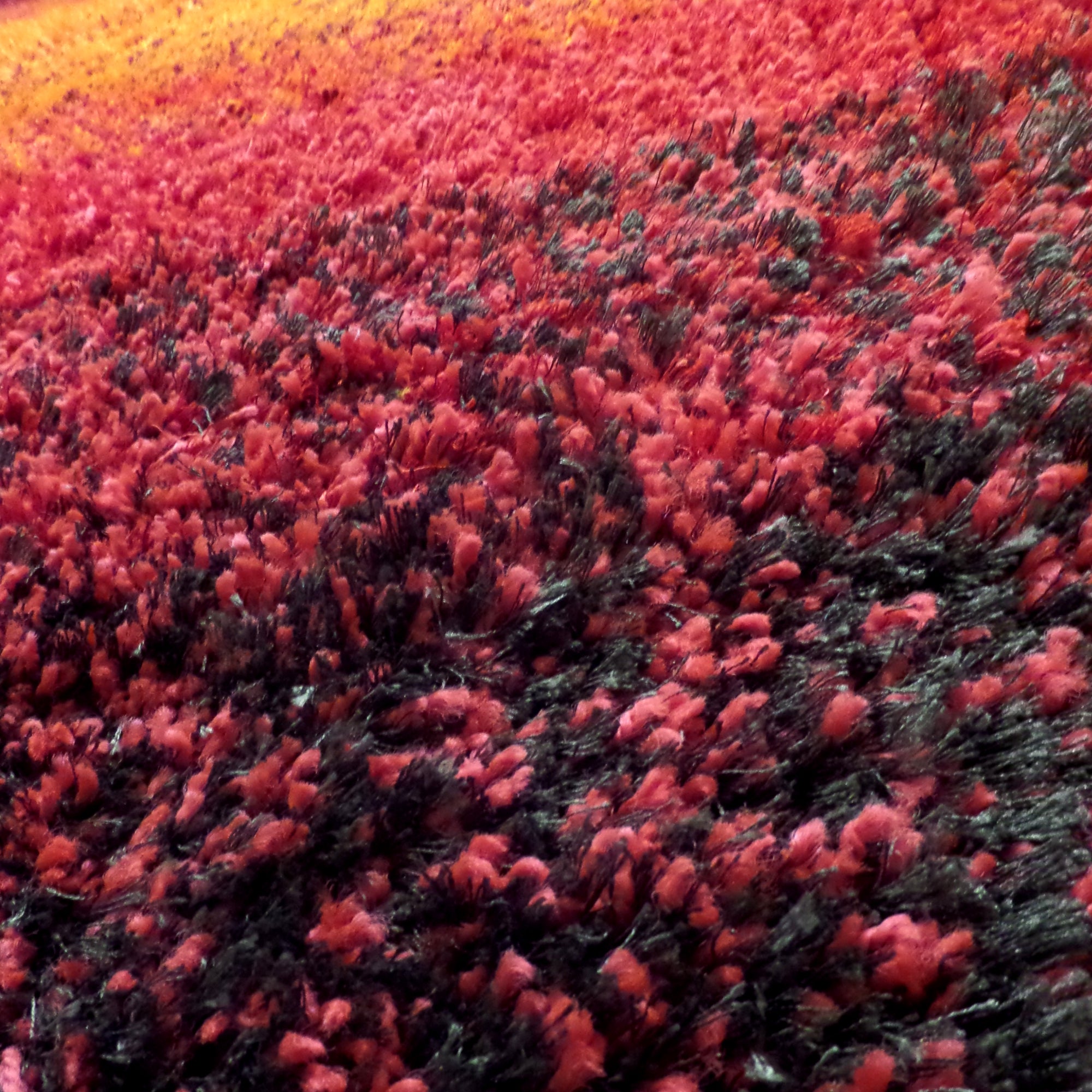 Alfombra Lexus 200x285 Cm Negro Naranja